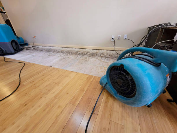 Reliable Basement Flood Cleanup contractor in Dibble, OK by Hirex Water Damage