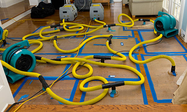 Professional Basement Flood Cleanup technician working in Dibble, OK